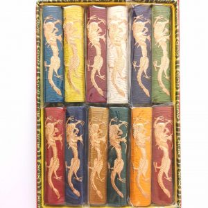 12 Colour Ink Sticks (十二色墨条）