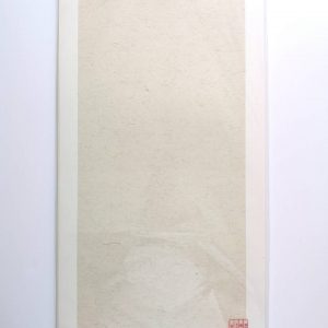 Rice Paper on Bristol Board （宣纸卡纸）