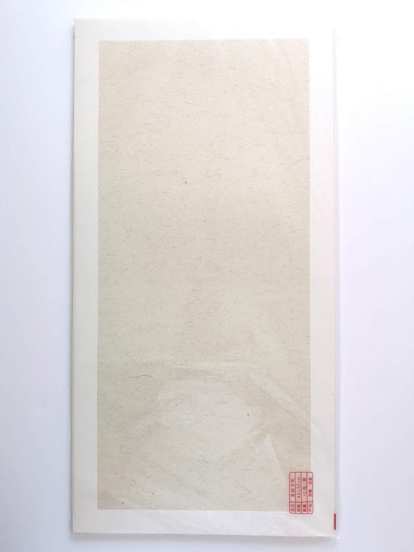 Rice Paper on Bristol Board （宣纸卡纸）