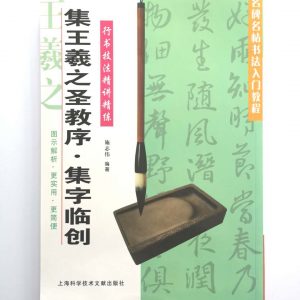 名碑名帖书法入门教程-集王羲之圣教序-集字临创