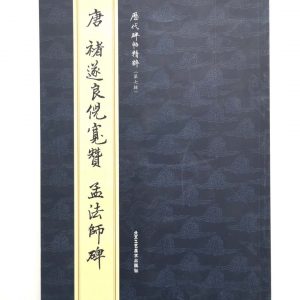 历代碑帖精粹-唐-褚遂良倪宽赞-孟法师碑
