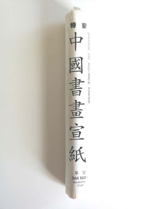 Chinese Rice Paper (10 sheets) (中国书画宣纸）