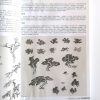 名家国画技法-山水画谱 - Image 3