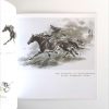 马 - Image 3