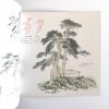 树木 - Image 3