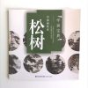 松树 - Image 2