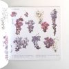紫藤 - Image 3