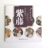 紫藤 - Image 2