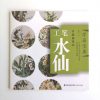 工笔水仙 - Image 2