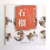 石榴 - Image 2