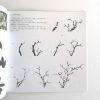 杜鹃百合 - Image 3