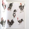 千姿百态画家鸡 - Image 3