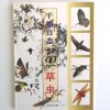 千姿百态画草虫 - Image 2