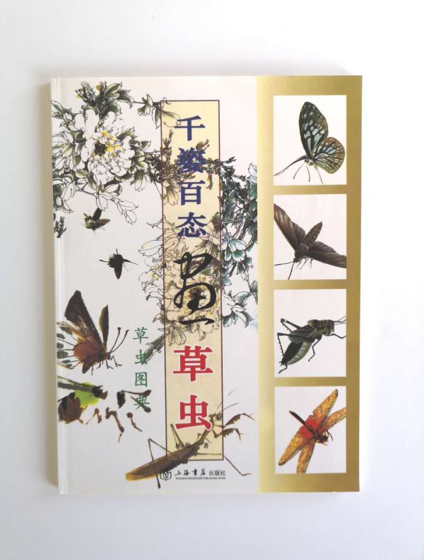 千姿百态画草虫
