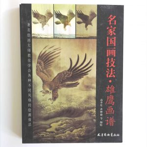名家国画技法-雄鹰画谱