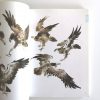 教你怎么样画国画-动物篇 - Image 3
